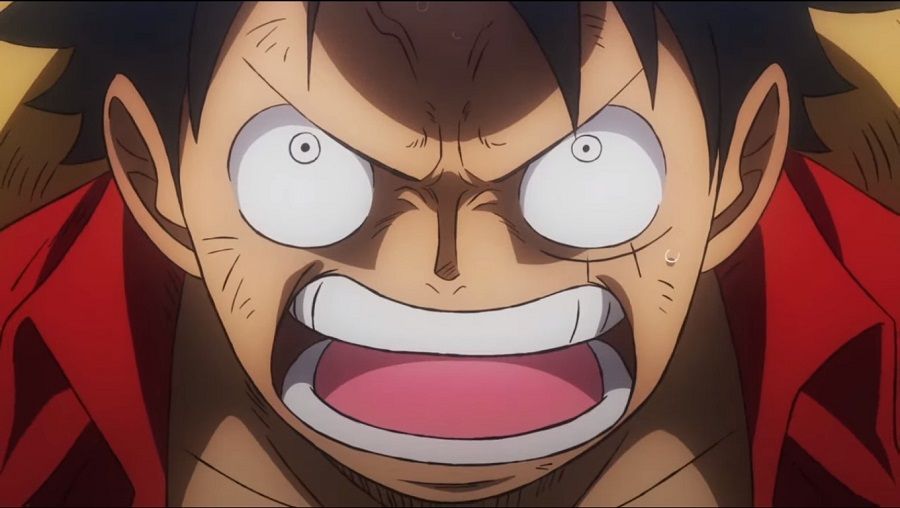 D luffy